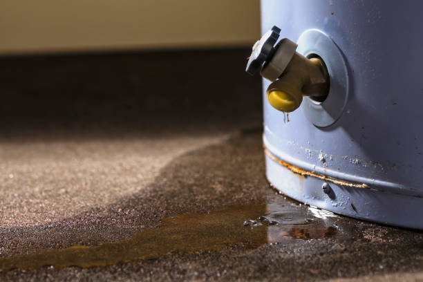 Best Water damage contractors near me  in Stuart, FL