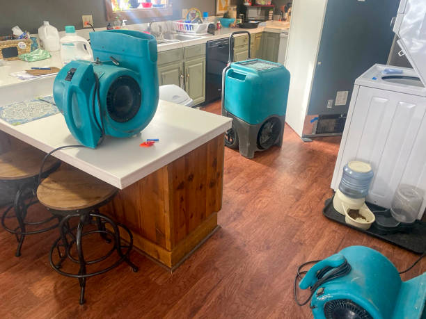 Water damage restoration mold remediation in Stuart, FL