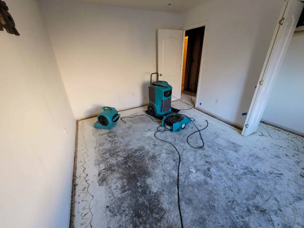 Best 24/7 water damage repair  in Stuart, FL