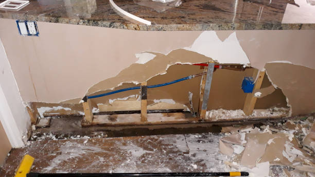 Best Flood damage cleanup  in Stuart, FL