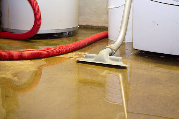 Best Water damage restoration near me  in Stuart, FL