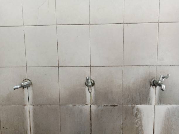 Best Water damage restoration process  in Stuart, FL