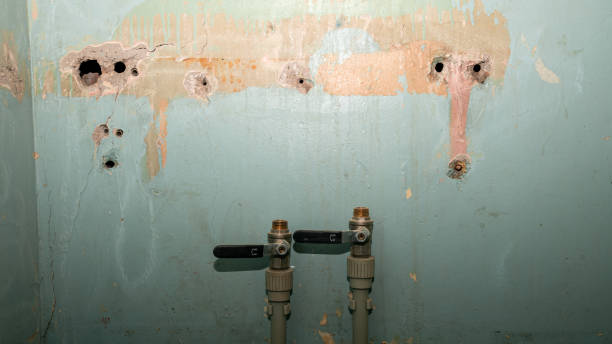 Best Basement water damage restoration  in Stuart, FL