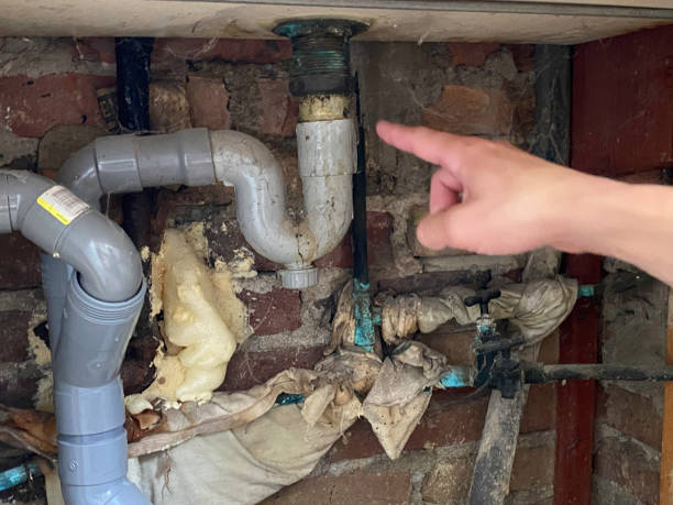 Best Professional water damage repair  in Stuart, FL