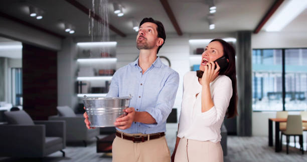 Best 24-hour water damage restoration  in Stuart, FL