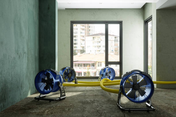 Best Flood damage cleanup  in Stuart, FL
